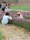 广东省,梅州市,五华县,龙村镇,新艳村