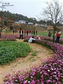 广东省,梅州市,五华县,龙村镇,新艳村