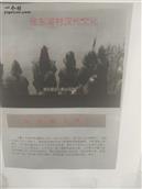 安徽省,宿州市,灵璧县,尤集镇,张东湖村
