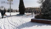 沟东村 19年春节刚过，村民自发组织清扫广场积雪
