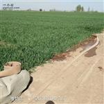 山东省,潍坊市,诸城市,贾悦镇,周家水墩村