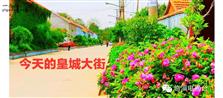 山东省,淄博市,临淄区,皇城镇,皇城村