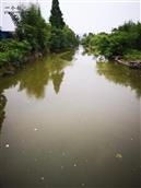 魏家桥村 这河水都是绿色的，符合5水共治吗