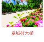 山东省,淄博市,临淄区,皇城镇,皇城村