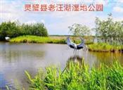 安徽省,宿州市,灵璧县,尤集镇,张东湖村