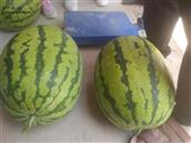 甘肃省,白银市,靖远县,乌兰镇,烟洞村