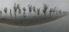 西马村 村里大雾天
