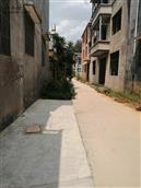 韦柿园村 村中的小路平整又好走，发展村中路时代在进步。