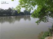 四川省,成都市,双流区,永安镇,付家坝社区