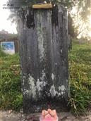 西洪塘社区 這是我马来西亚东马张姓朋友曾祖父之墓碑. 張乃金100年左右来自厦门同安，现与同安祖籍地失去联系，我朋友想回同安寻找祖籍地，希望各位好友协助下。