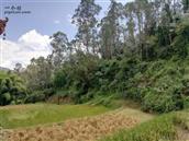 云南省,昆明市,禄劝县,茂山镇,茂山村