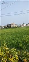 安徽省,淮南市,谢家集区,杨公镇,前瓦村