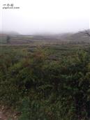 甘肃省,陇南市,礼县,草坪乡,上坝村