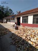 山东省,潍坊市,诸城市,贾悦镇,周家水墩村