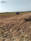 山东省,潍坊市,诸城市,贾悦镇,周家水墩村