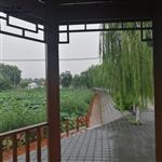 杨泗庄村 