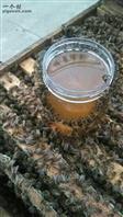 丁家村 蜜蜂与蜂蜜