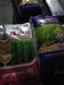东申寨村 小麦种子总经销：有各种各样的品种，欢迎客户选购。经理杨风玉，电话17724873898