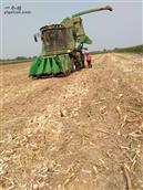 山东省,潍坊市,诸城市,贾悦镇,周家水墩村