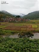 广西,百色市,西林县,那佐乡,达下村