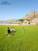 甘肃省,临夏州,永靖县,三塬镇,向阳村