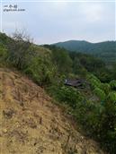 金台村 山高路远风景也很美，