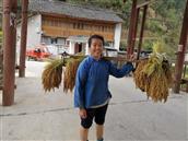 贵州省,黔东南州,黎平县,永从乡,豆洞村