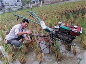 贵州省,黔东南州,黎平县,永从乡,豆洞村