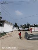 山东省,临沂市,费县,费城街道,西胡家村
