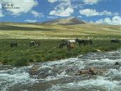 西藏,日喀则地区,聂拉木县,波绒乡,云多村