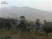 重庆市,涪陵区,石沱镇,光明村