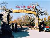 北京市,房山区,长沟镇,东甘池村