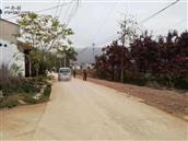 吴家村 