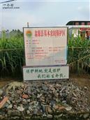 广东省,韶关市,翁源县,周陂镇,藤山村