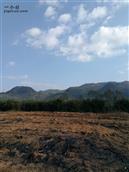 广东省,韶关市,翁源县,周陂镇,藤山村
