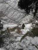 蔡森坝村 冬天下雪后的景色