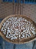 天子山村 价格实惠和简单制作的家乡传统腐乳。