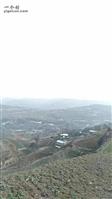 甘肃省,天水市,秦安县,兴丰乡,槐树村