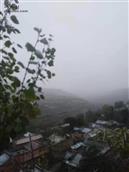 甘肃省,天水市,秦安县,兴丰乡,槐树村