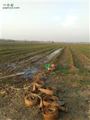 山东省,潍坊市,诸城市,贾悦镇,周家水墩村