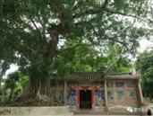 广东省,揭阳市,普宁市,洪阳镇,仙步村