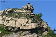 山东省,潍坊市,诸城市,林家村镇,东红村