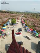 湖北省,黄冈市,蕲春县,蕲州镇,龙泉庵村