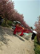 湖北省,黄冈市,蕲春县,蕲州镇,龙泉庵村