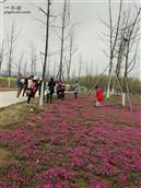 湖北省,黄冈市,蕲春县,蕲州镇,龙泉庵村