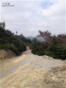 福建省,福州市,长乐区,玉田镇,西埔村