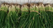 荷塘村 荷塘村盛产大葱和生姜，有需求者请联系15955067585。