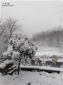 北安村 老家下雪了