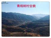 山西省,阳泉市,平定县,东回镇,青杨树村