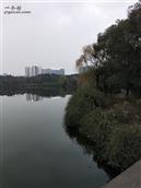 上潮村 郊外公园